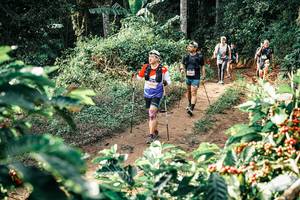 BIB: 
                            <button type="button" onclick="openModal(25852228)" class="btn btn-primary btn-sm float-right btn-popup" data-toggle="modal" data-target=".modal-high-quality">
                        <i class="fas fa-shopping-cart"></i> Add to Cart
                    </button>
                                            <button type="button" onclick="isThisMe(25852228, true)" class="btn btn-success btn-sm float-right btn-popup btn-isme hidden" data-toggle="tooltip" data-placement="bottom" title="นี่คือรูปของคุณใช่ไหม คลิกที่นี่เพื่อเอาเข้าอัลบั้ม">
                        <i class="fas fa-plus"></i> Add to album
                    </button>
                    <button type="button" onclick="isThisMe(25852228, false)" class="btn btn-warning btn-sm float-right btn-popup btn-isnotme hidden">
                        <i class="fas fa-ban"></i> Remove from album
                    </button>